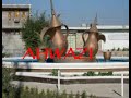 ahwazi song