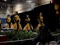 Hula Competition - Ia \ Hula Competition - Ia \