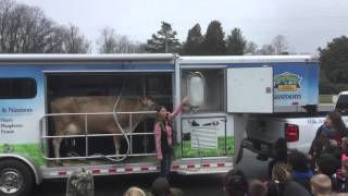 The Dairy Association's mobile milking lab recently visited Bowling Green Elementary School.