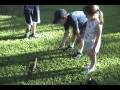 Wildlife Matters - Episode 29  -- Gator Wrestling
