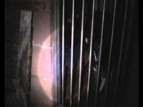 Vedi il video