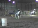 R.I.P. Just Alota Doc aka Paint Pony aka Pete