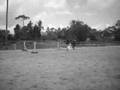Equestrian Contest!!!! Plz enter!!!