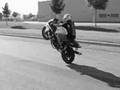 1ere video Stunt alsace 68 colmar stunt CBR 900 600 FS