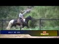 KELY EPL - www.CanalDeLance.com - LEILÃO 20/10 - NETMANGALARGA PELAGENS