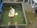 Proyecto Mec�nica de Fluidos-Grupo 10-Efecto Magnus