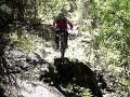Powers Creek Vidder
