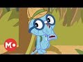 Zobacz film