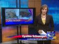 New Laws for Wisconsin Dogs