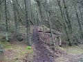 ktm525 exc in the woods