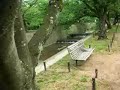River side walking near my house