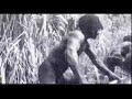 video clip