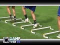Ritiro Samp: La 2° settimana Ritiro Samp: La 2° settimana