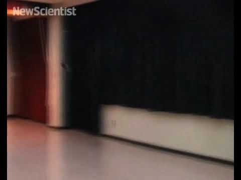 Cyborg Insects Steered From a Distance