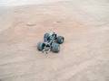 overt's Tamiya TXT-1 gone Nitro! Project ev·o·lu·t-x-tion