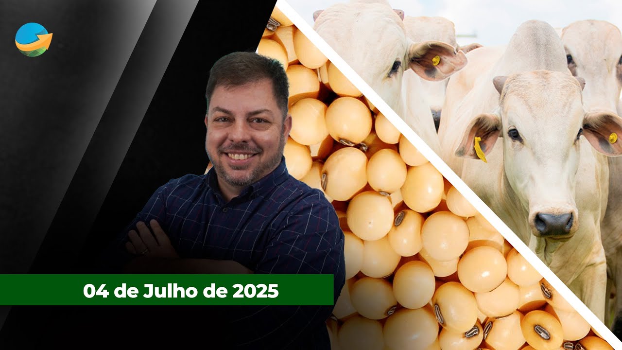 Frigoríficos fora das compras e pressão nos preços da arroba ; feriado nos EUA deixam mercado ...