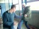 fight