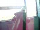 fight
