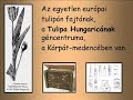 \"Magyarnak lenni: büszke gyönyör?ség\" \"Magyarnak lenni: büszke gyönyör?ség\"