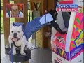 Pankun & James Last episode 1/2