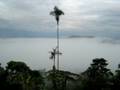 Jungle 2, Puyo Ecuador