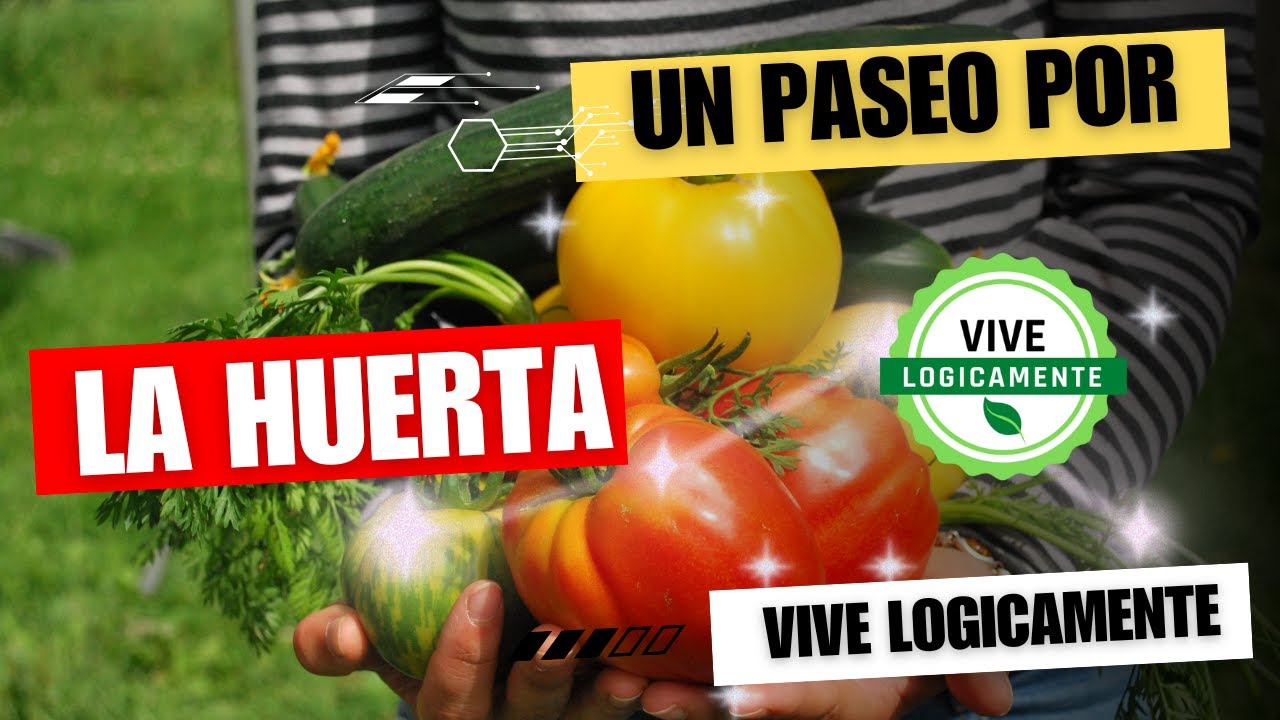 Explorando la Magia: Un Corto Paseo por la Huerta Orgánica