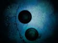 Livingstons - Mazs atoms