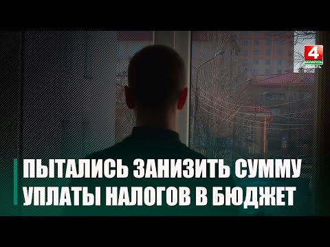 Представители оптовой торговли овощей и фруктов пытались значительно занизить сумму уплаты налогов в бюджет видео