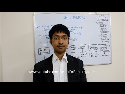 how to define adaptation