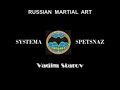 vadim starov knife self defence technique  strikes