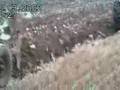Doe,s ploughing at epworth.