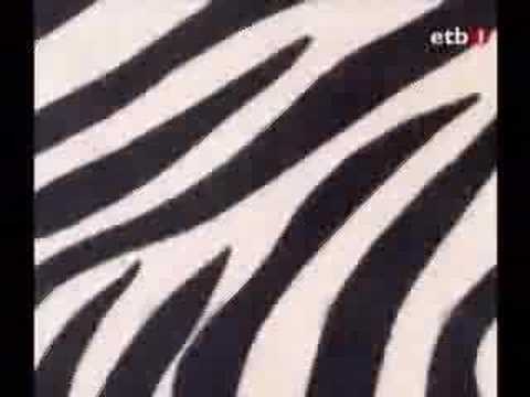 Anari - Zebra