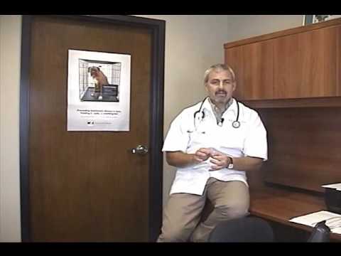how to eliminate ear mites in dogs