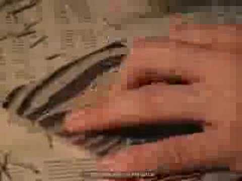 Zebra lino carving - time lapse