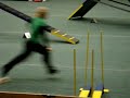 Rebecka Borglund och Herja Vinner Agility-klassen i Danmark och får Cert!
