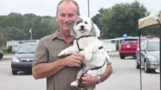 Video Thumbnail Image