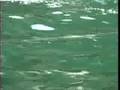 videos de 2° giro di monte isola a nuoto TeleBoario