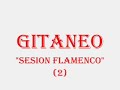 Sesion de flamenco 2 (parte 1) Sesion de flamenco 2 (parte 1)
