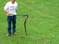 Water Snake