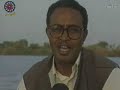 محمد طه القدال  قصيدة.. بقول غنوات
