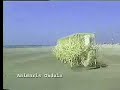 Animaris Geneticus Ondula