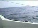 Sailing:  A Mystery No More