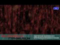 Salmonella pathogenesis
