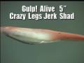 Berkley Hollow Belly, Crazy Leg Jerk Shad and Grub