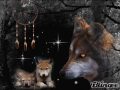 Frank Lars -Wie ein Wolf
