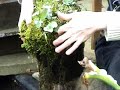 Pond Jobs - March Pond Jobs - March