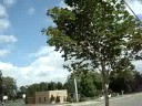 walking in Sauville