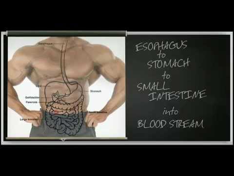 how to make whey isolate taste good