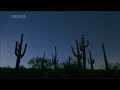 Planet Earth