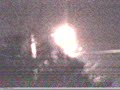 kingufokid Ufo Aliens in tree on light pole great great! kingufokid Ufo Aliens in tree on light pole great great!